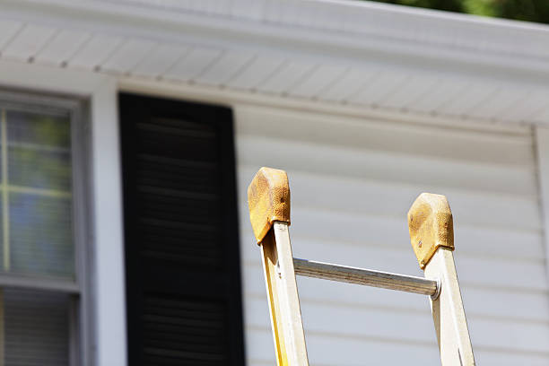 Best Storm Damage Siding Repair  in Solon, OH